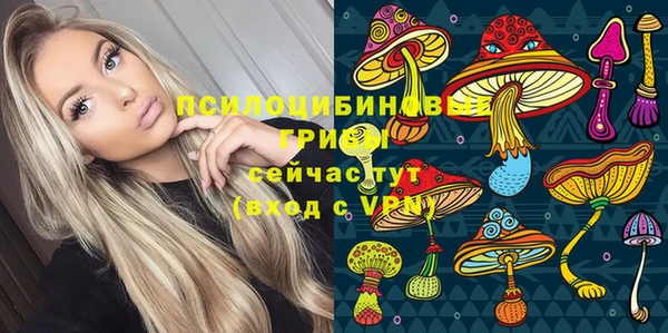 спиды Инсар