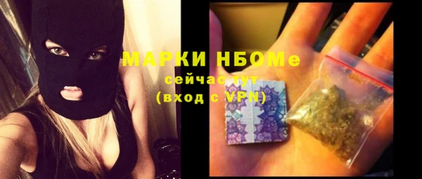 гидра Каменногорск