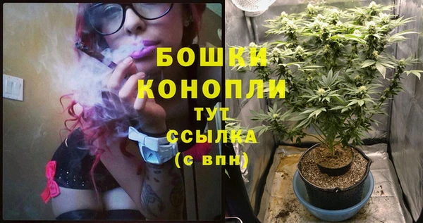 спиды Инсар