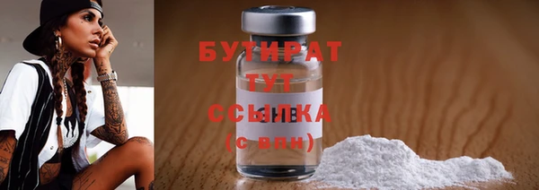 гидра Каменногорск