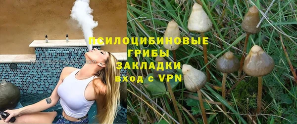 прущая мука Инта