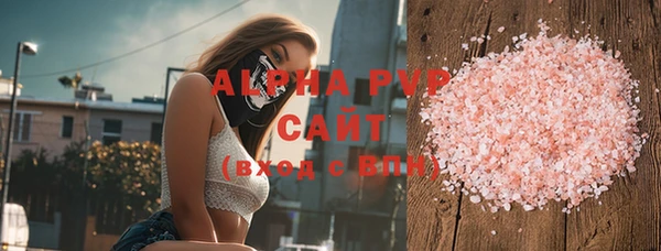 гидра Каменногорск