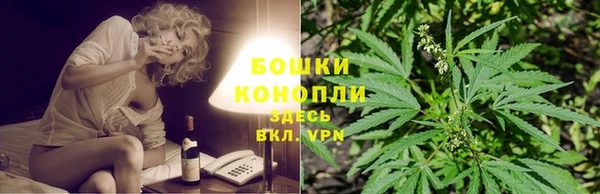 спиды Инсар